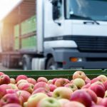 Commissionnaire de transport : quel est son champ d’action ?