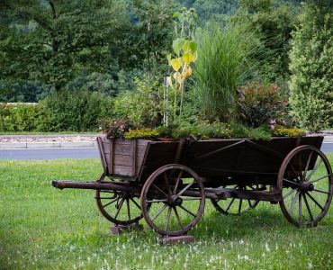 Comment transporter des plantes et des fleurs coupées sur une longue distance ?