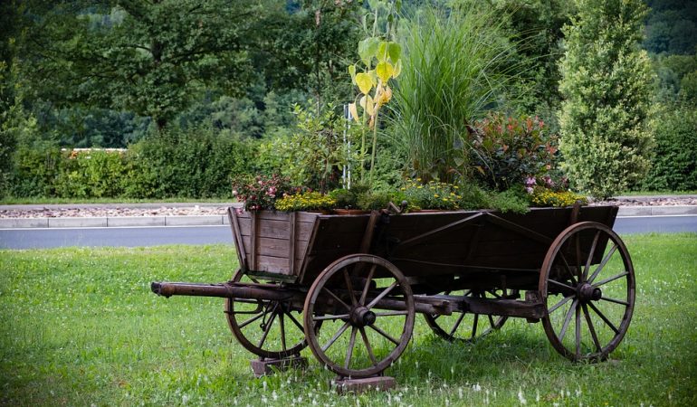 Comment transporter des plantes et des fleurs coupées sur une longue distance ?